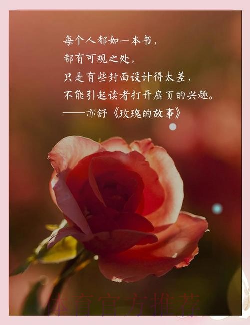 虽败犹荣 玫瑰重拾铿锵气质崛起指日可待！