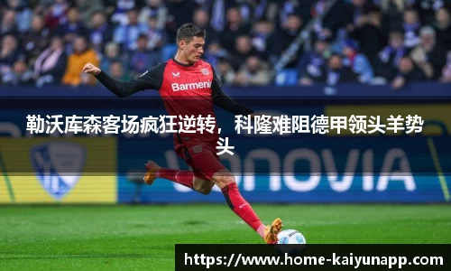 开云体育app
